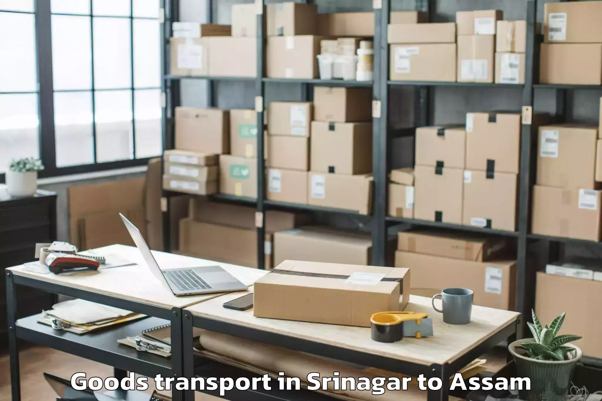 Leading Srinagar to Mankachar Goods Transport Provider